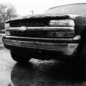 Meet your Posher, Bailey